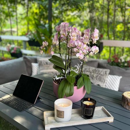 Cozy & Good Vibes Villa Castana. Romagnese Экстерьер фото